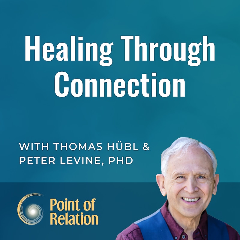 Artwork for podcast Point of Relation with Thomas Huebl