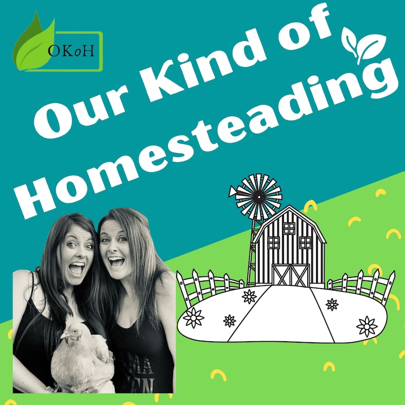 Artwork for podcast Our Kind of Homesteading