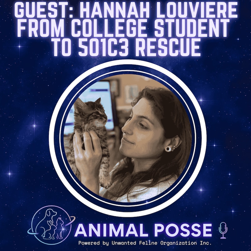 Artwork for podcast Animal Posse