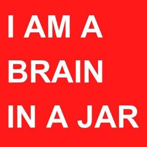 I Am a Brain in a Jar