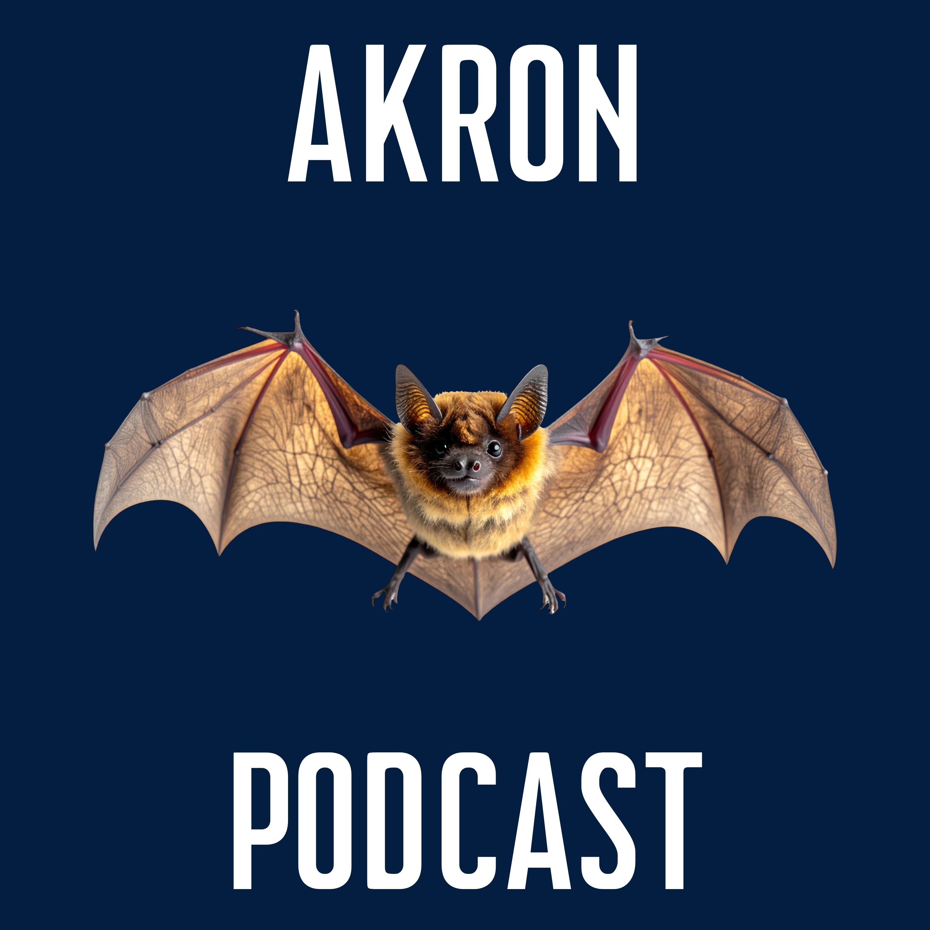 Bats in Your House: What Could Possibly Go Wrong?