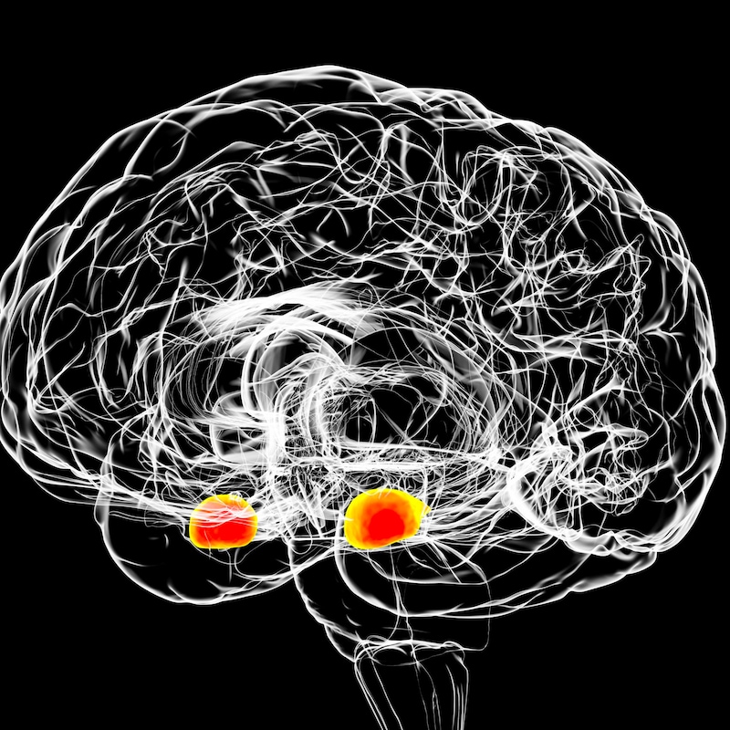 Artwork for podcast TheBigFatVoice Psicologia, Musica & Teatro