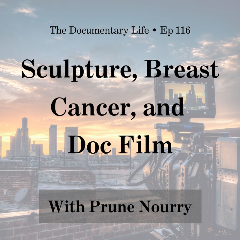 Artwork for podcast The Documentary Life