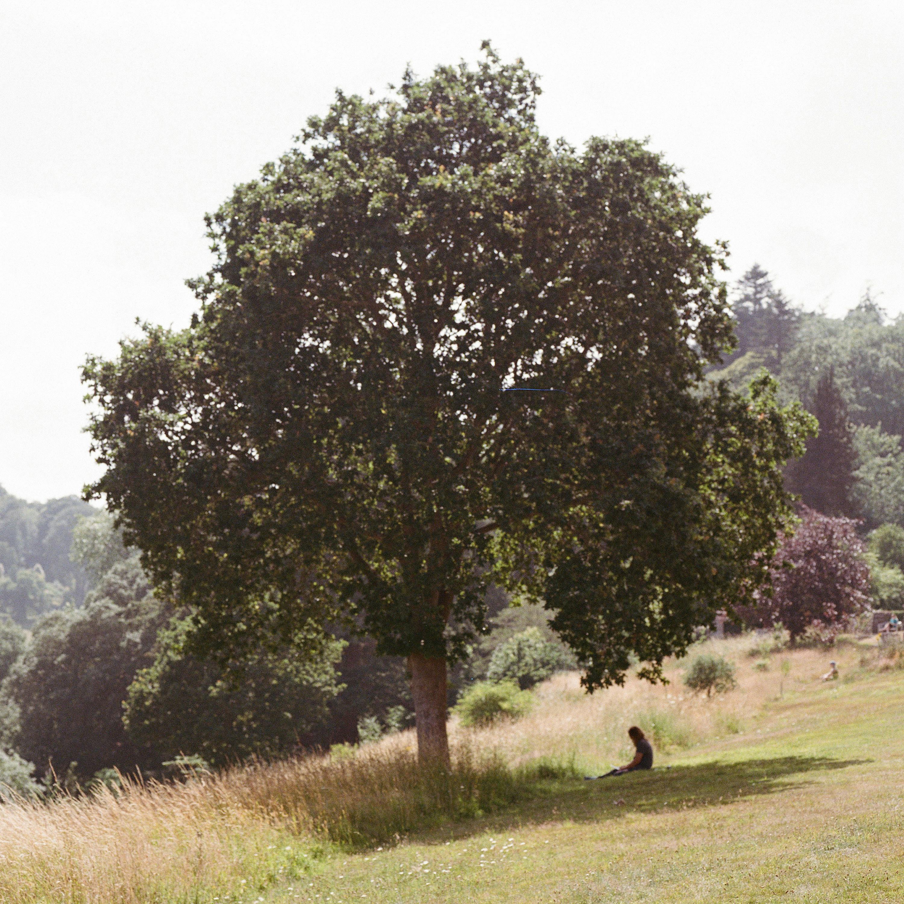Enraptured with Earth – Two talks by Emmanuel Vaughan-Lee