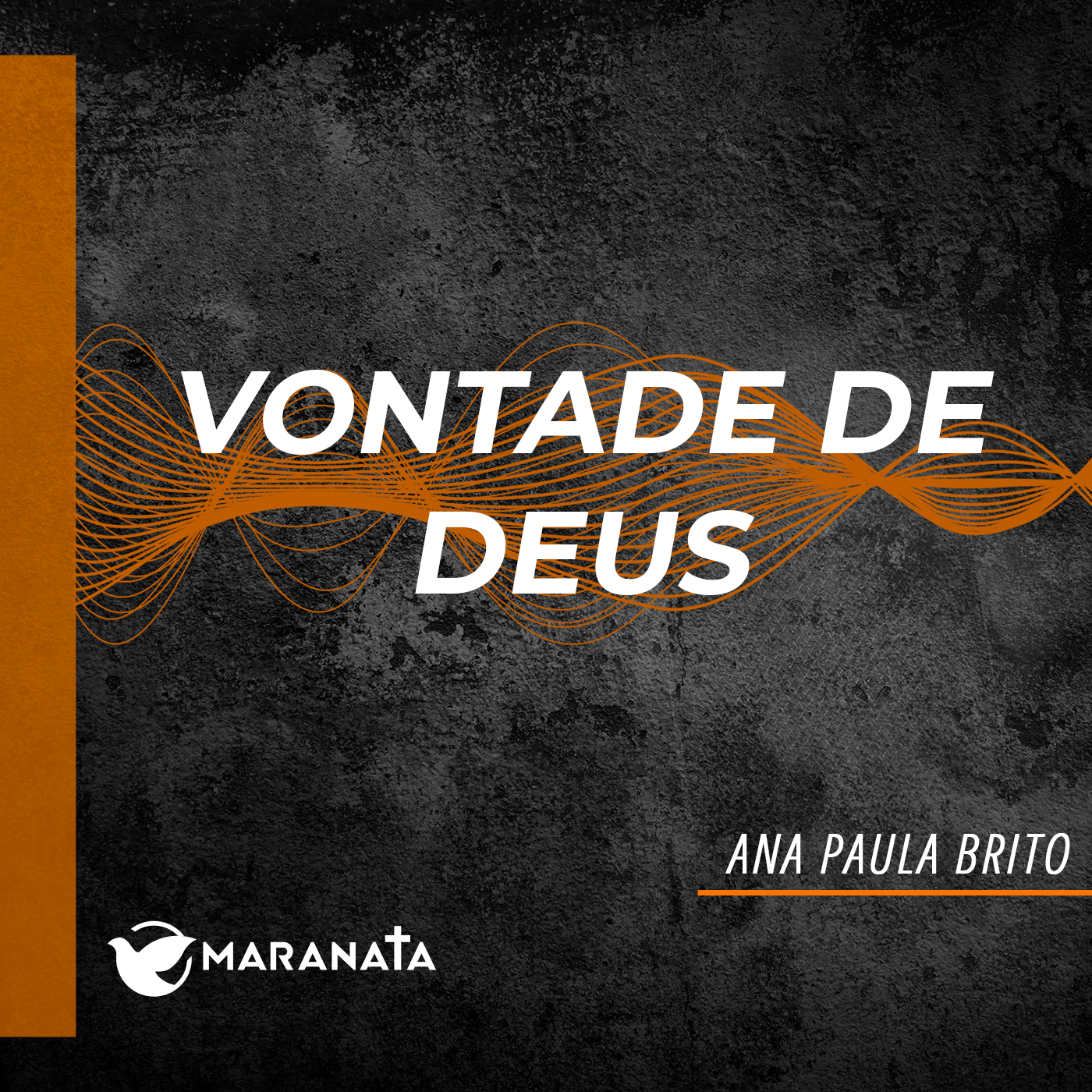 Vontade de Deus - Ana Paula Brito