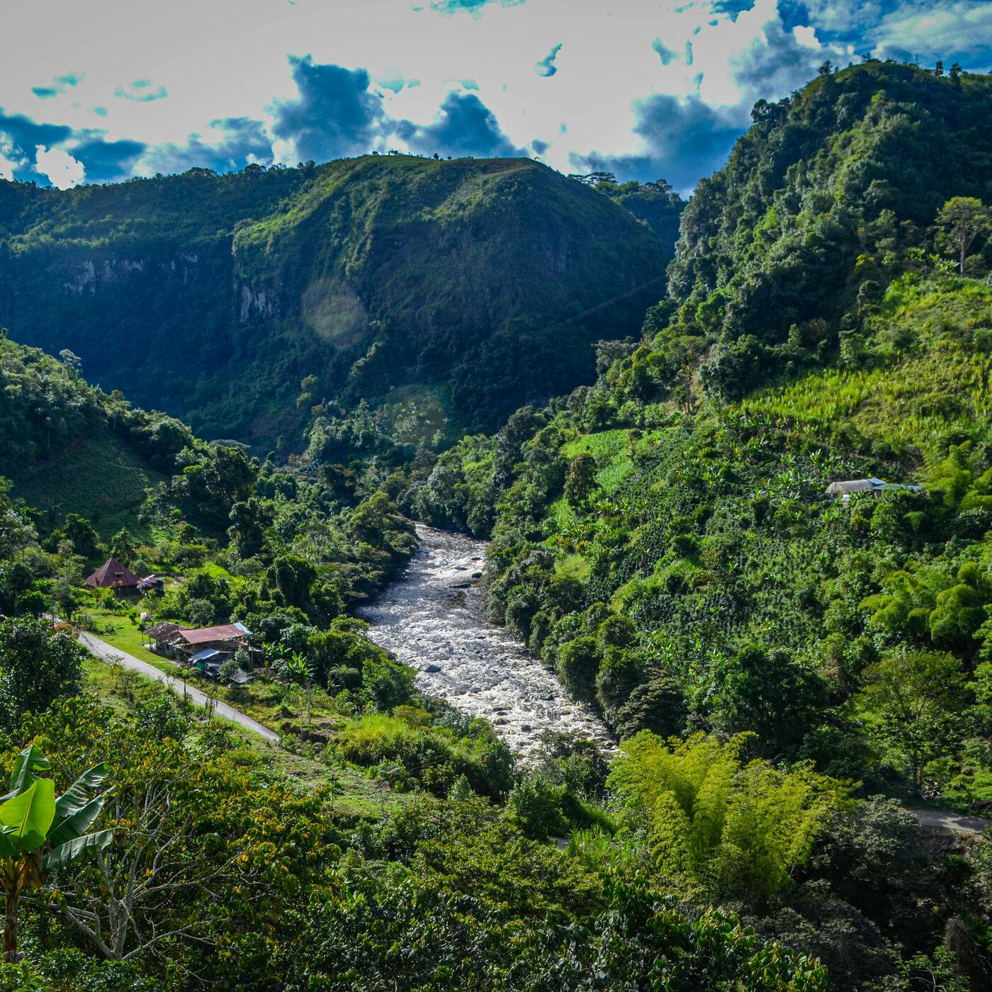 Land of Wonder: Four Weeks on Colombia's Magdalena River with Jordan Salama