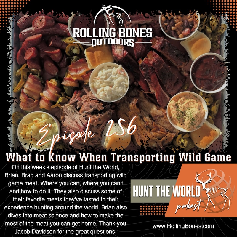 Artwork for podcast Hunt the World