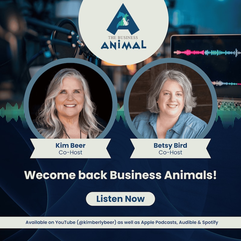Artwork for podcast The Business Animal