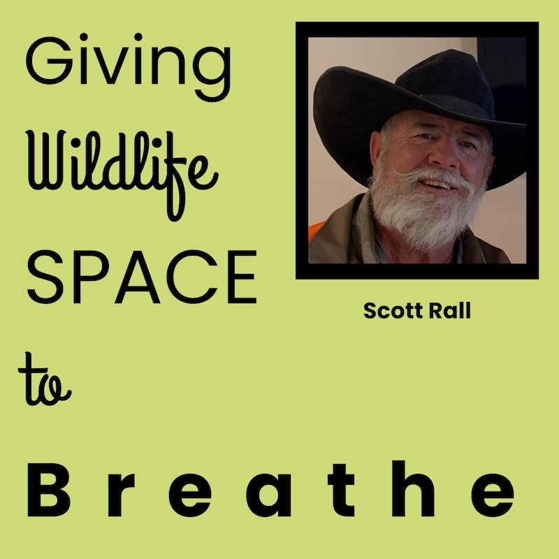 Artwork for podcast The Global Grit Experience