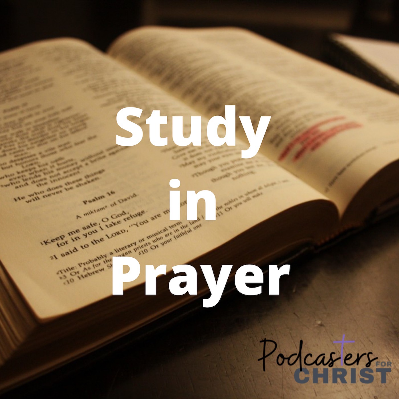 Artwork for podcast Study in Prayer