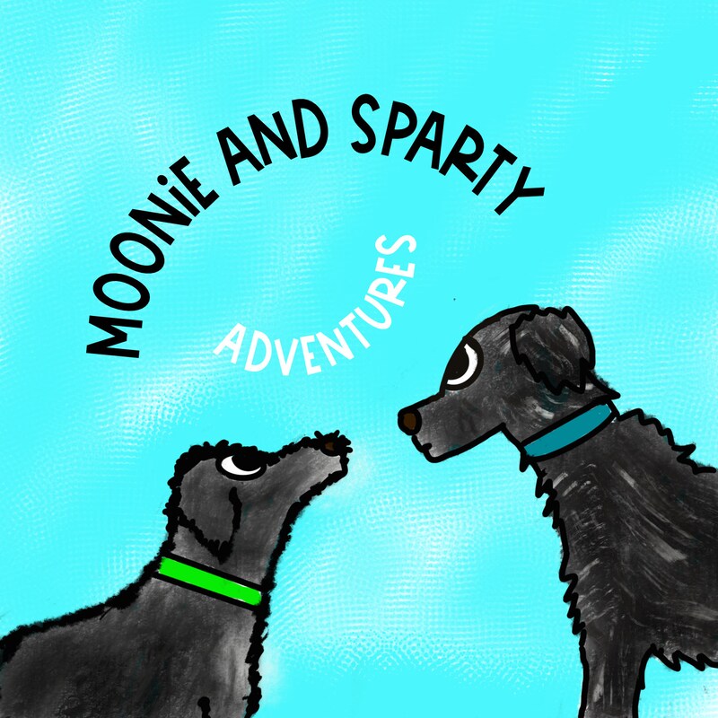Artwork for podcast Moonie & Sparty Adventures