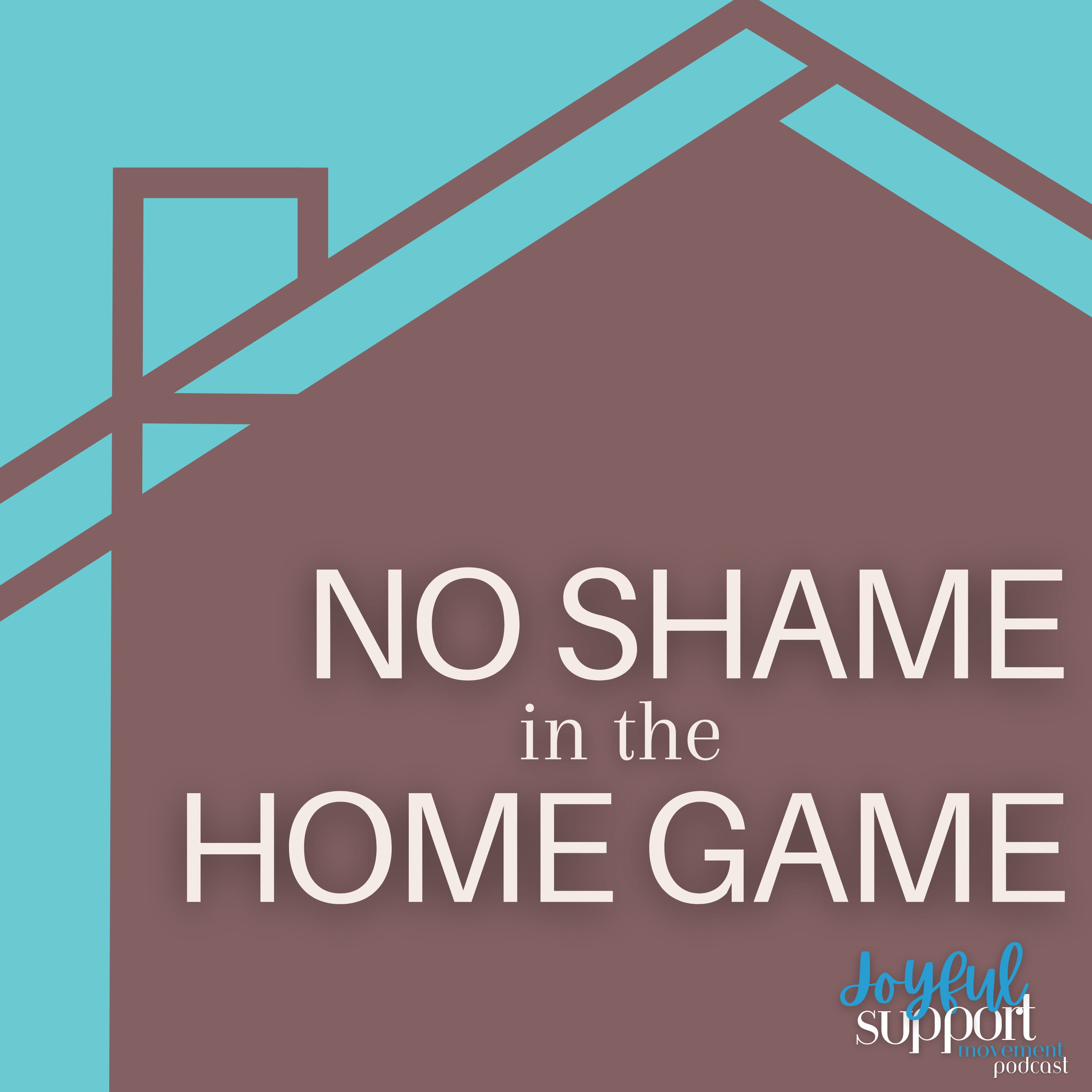 Artwork for No Shame In The Home Game