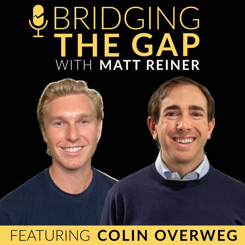 Artwork for podcast Bridging The Gap