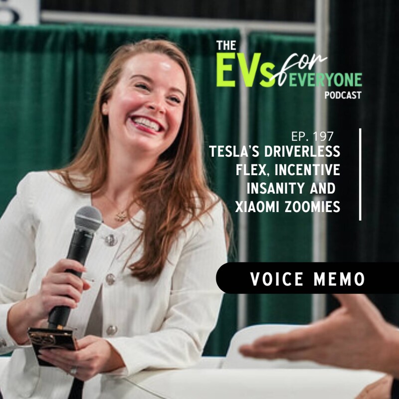 Artwork for podcast The EVs for Everyone Podcast