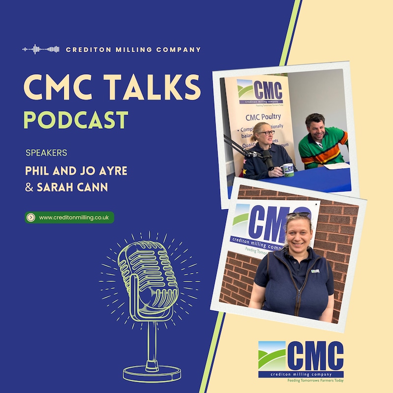 Artwork for podcast CMC Talks