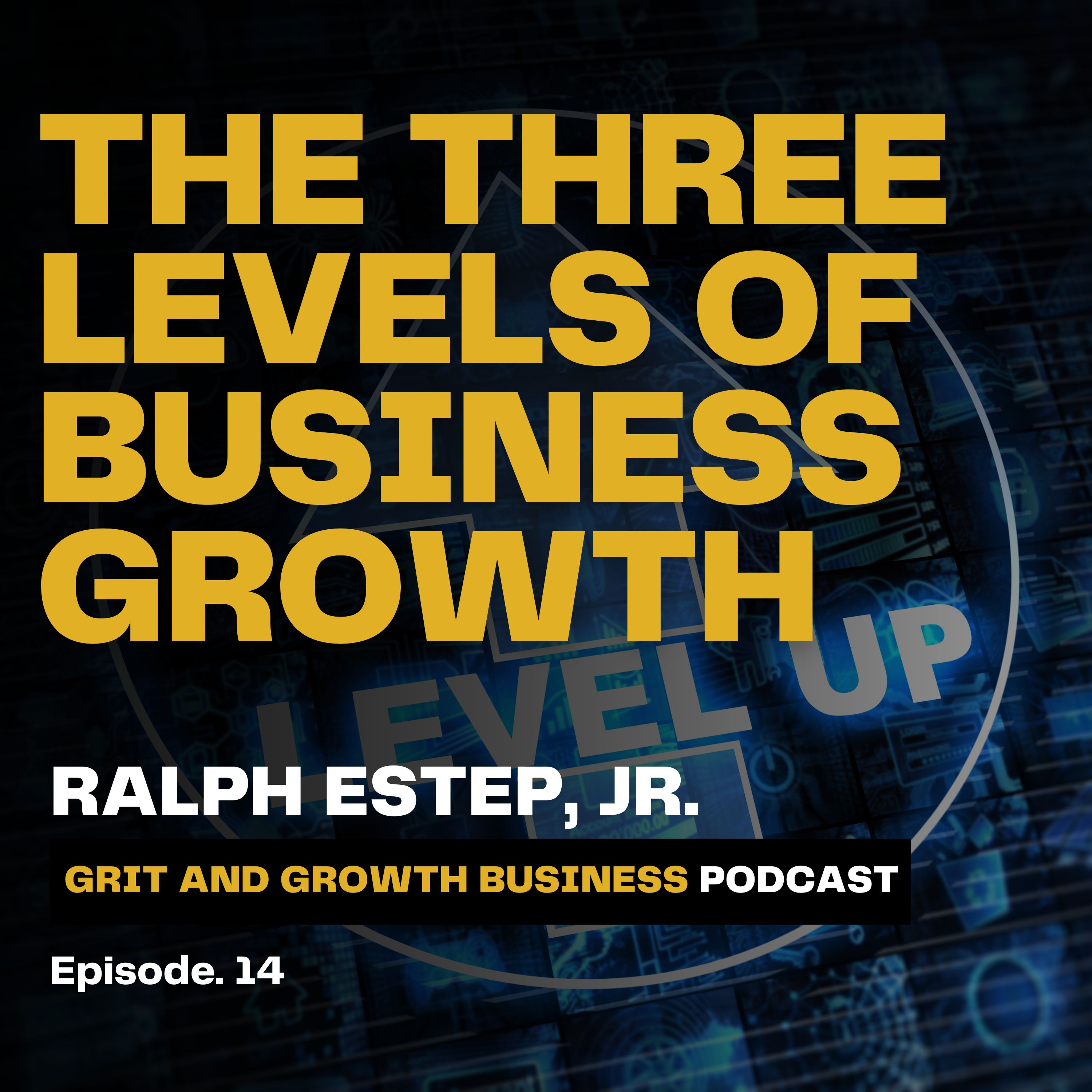 The Three Levels of Business Growth