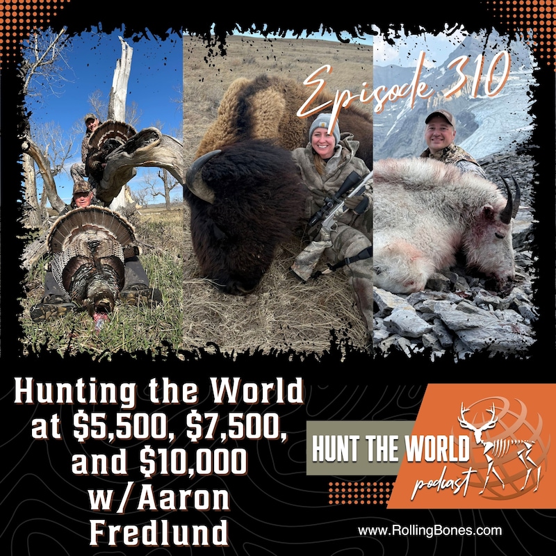 Artwork for podcast Hunt the World
