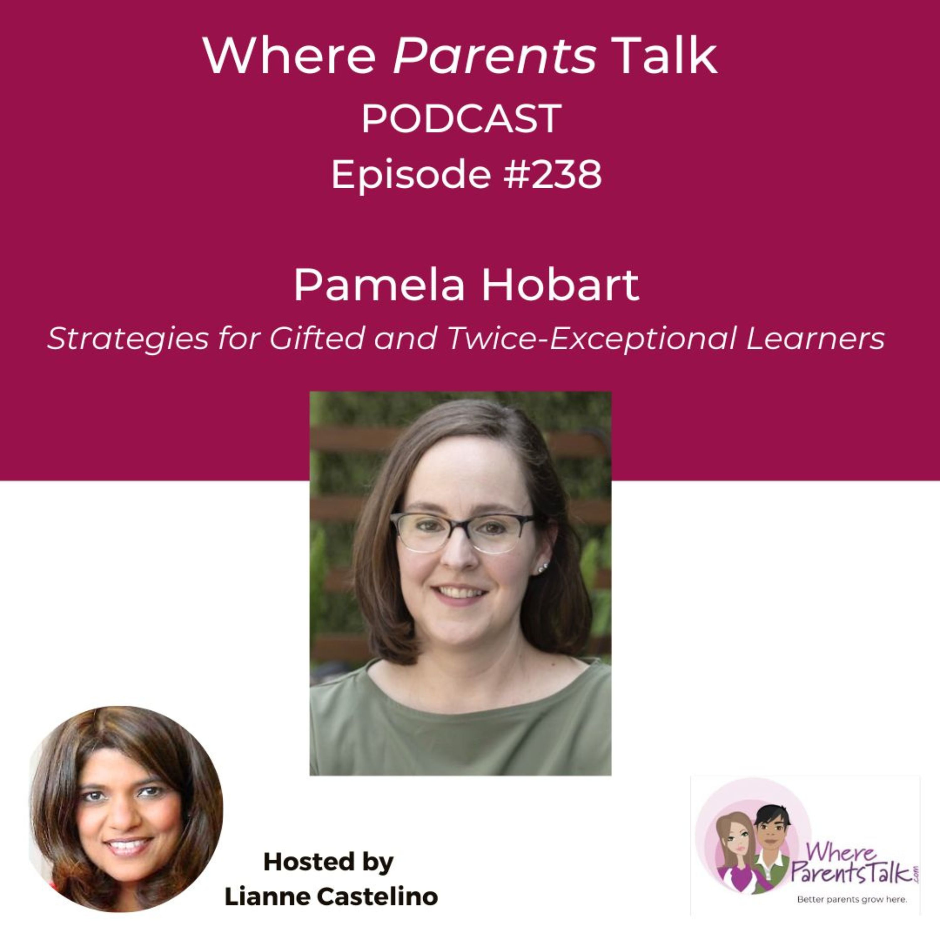 Rethinking Gifted Education: The Role of AI, Mastery, and Life Skills