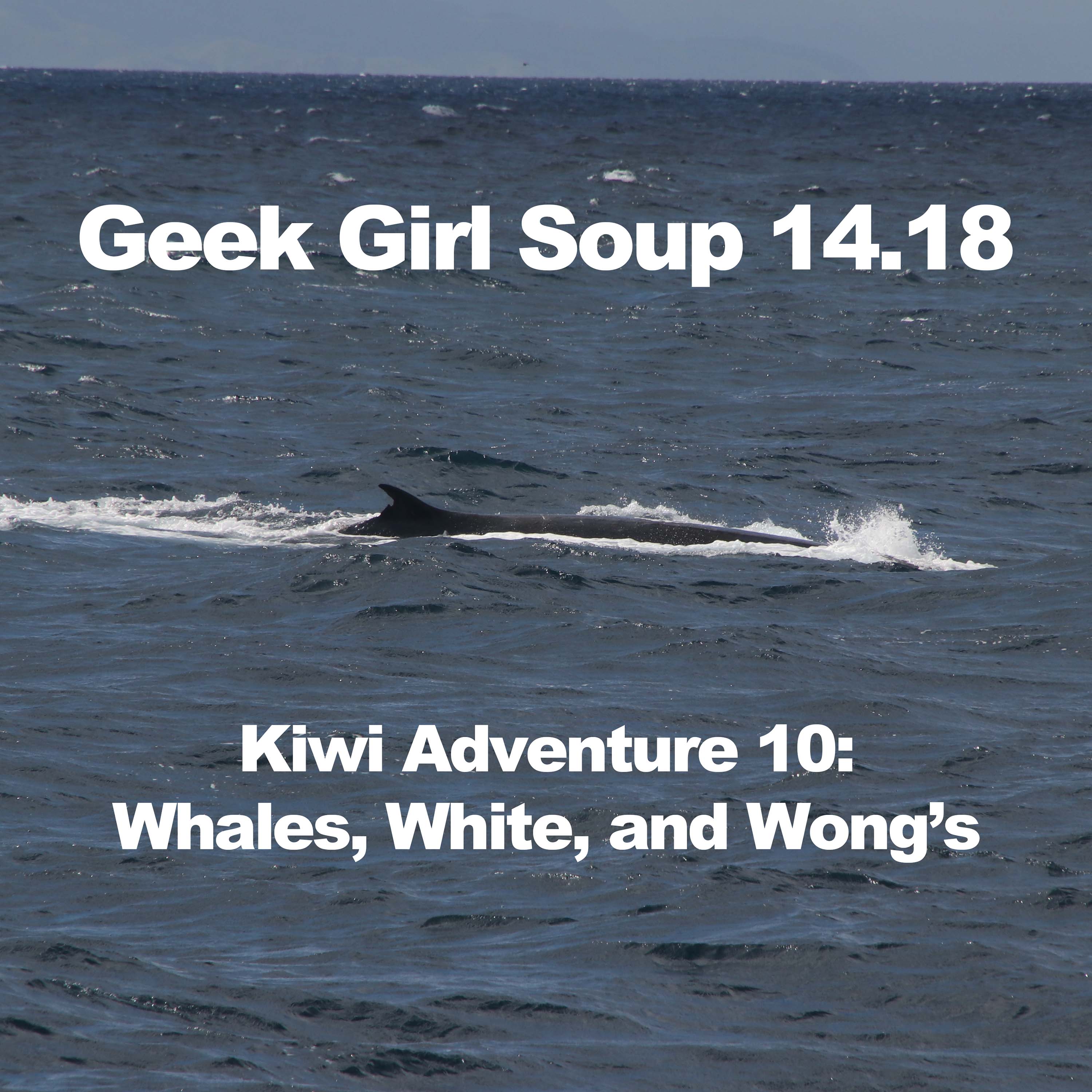 Geek Girl Soup