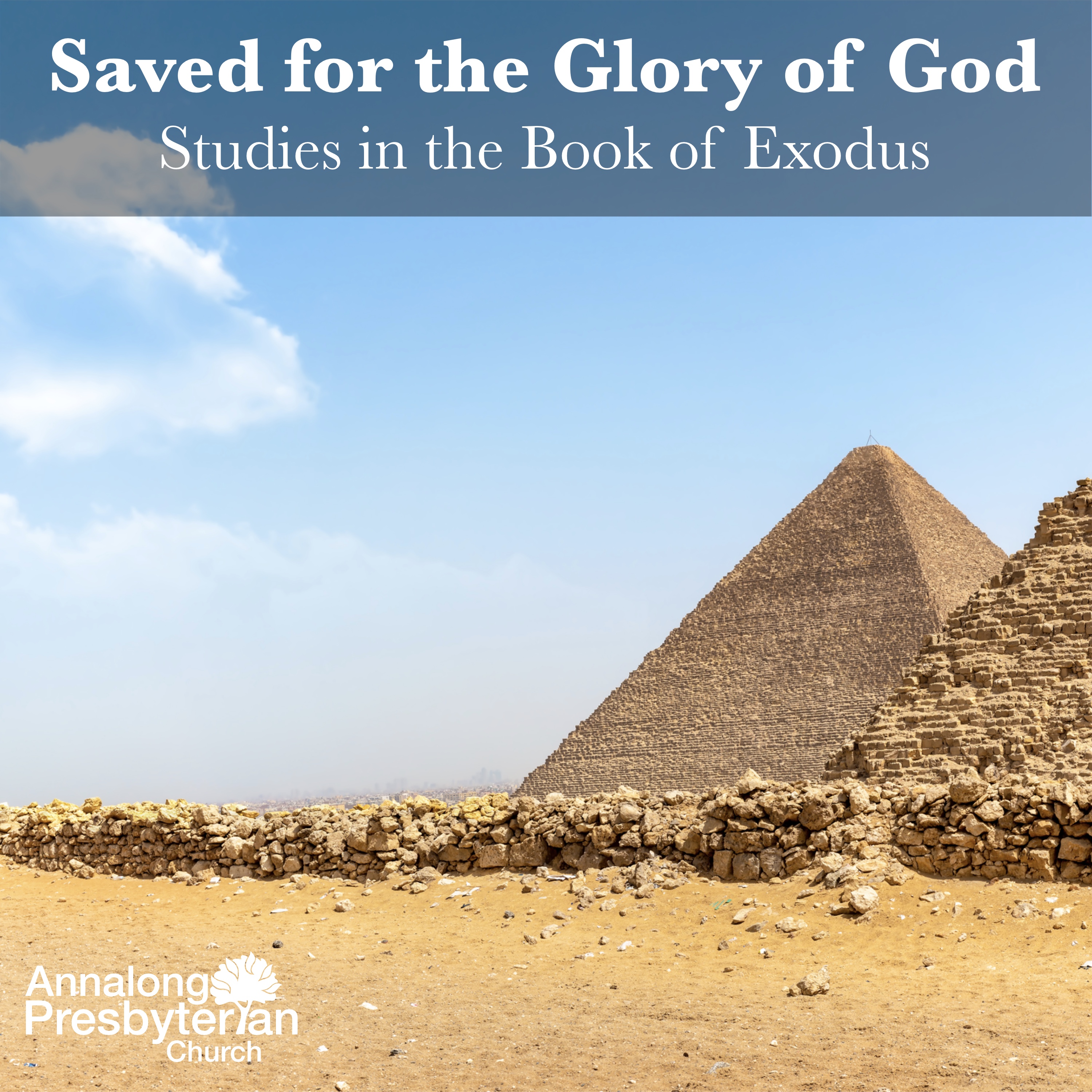 An Invitation to Holiness: The Covenant Love of God - Saved for the Glory of God | Studies in the book of Exodus episode artwork