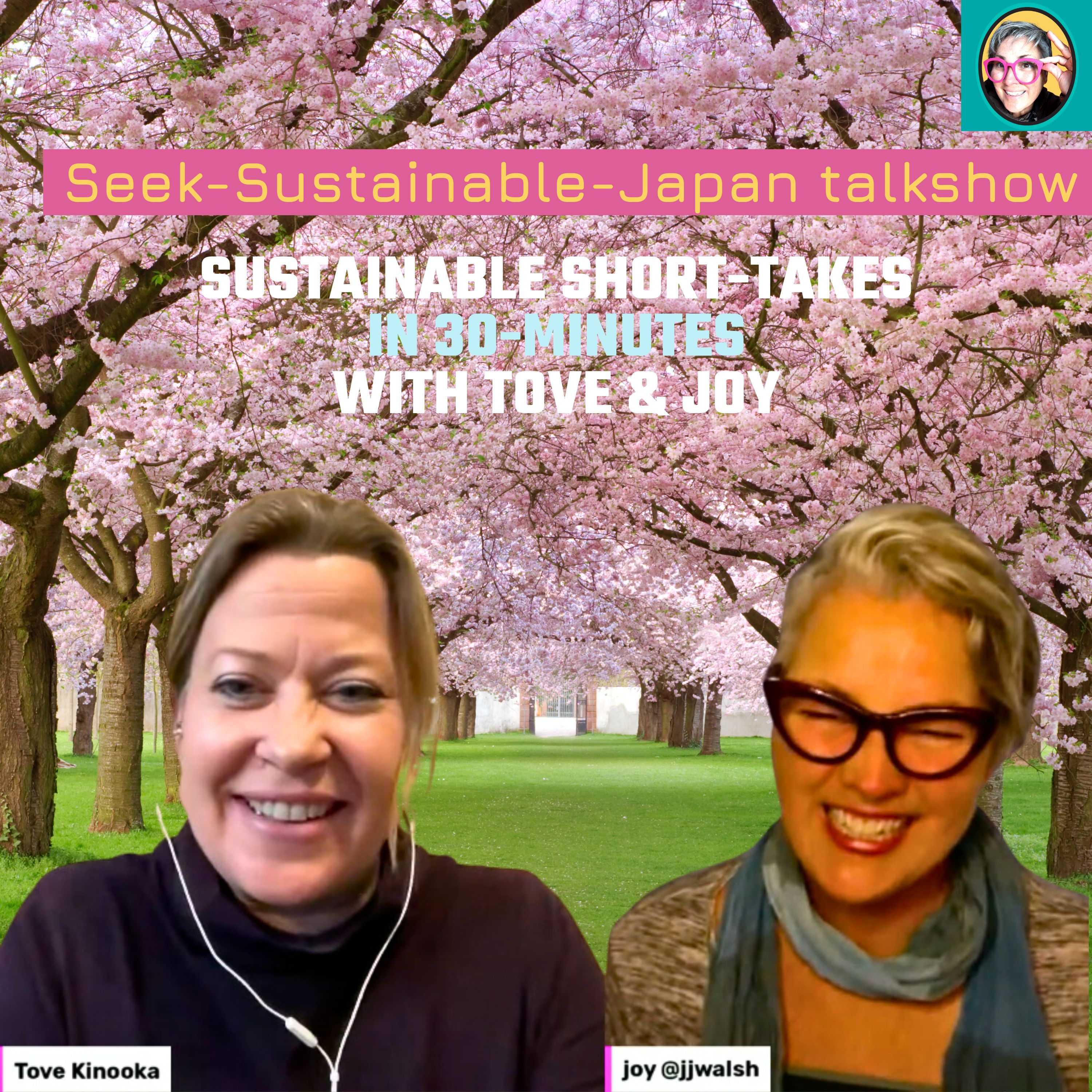 Sustainable Travel Japan