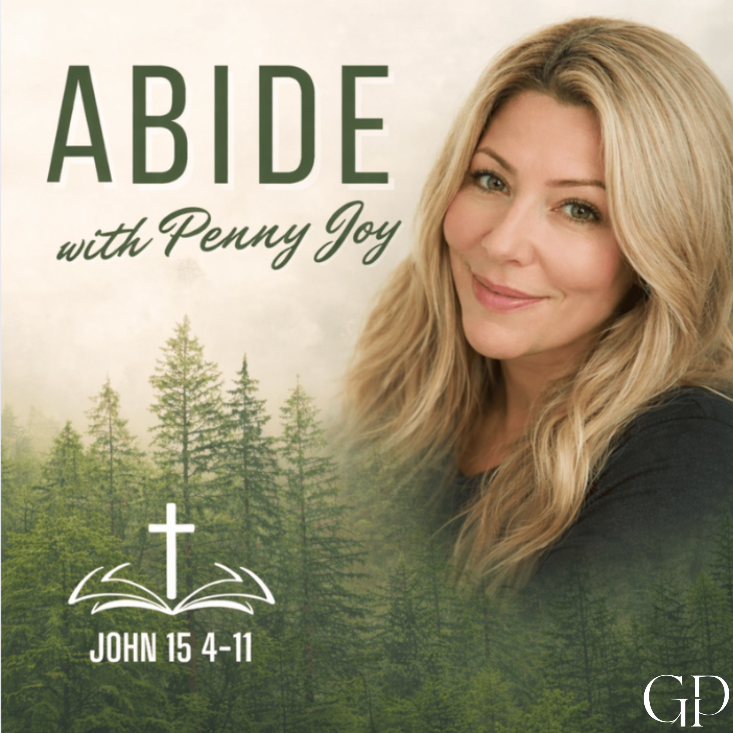 Artwork for Abide