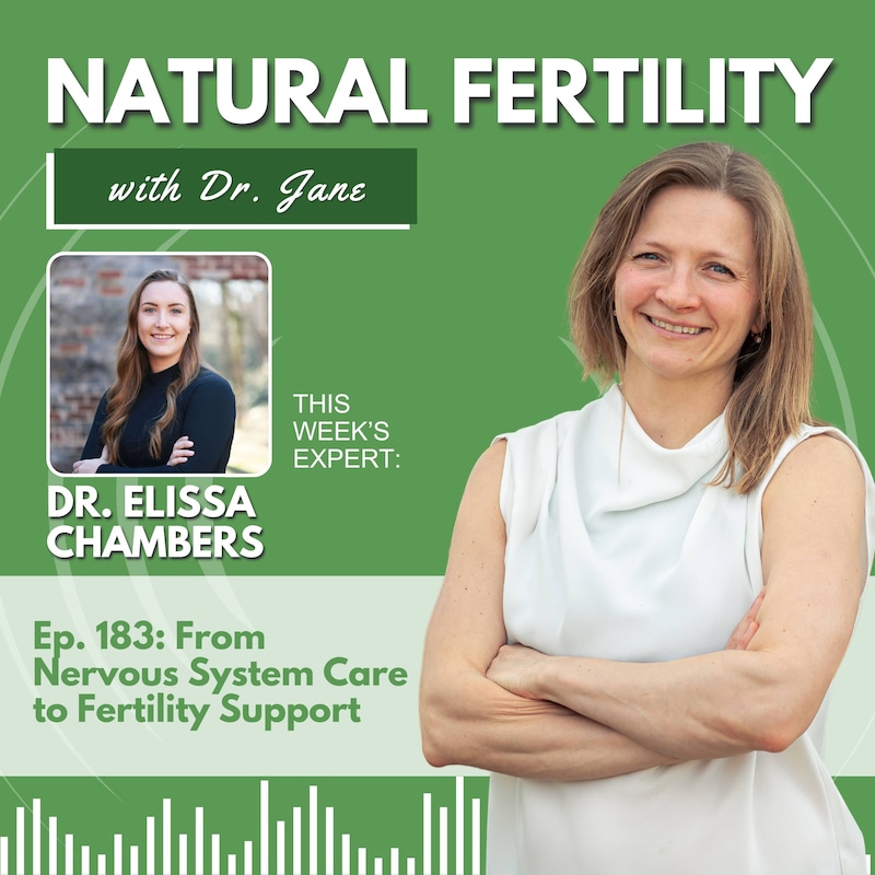 Artwork for podcast Natural Fertility with Dr. Jane