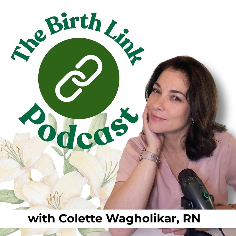 Artwork for podcast The Birth Link