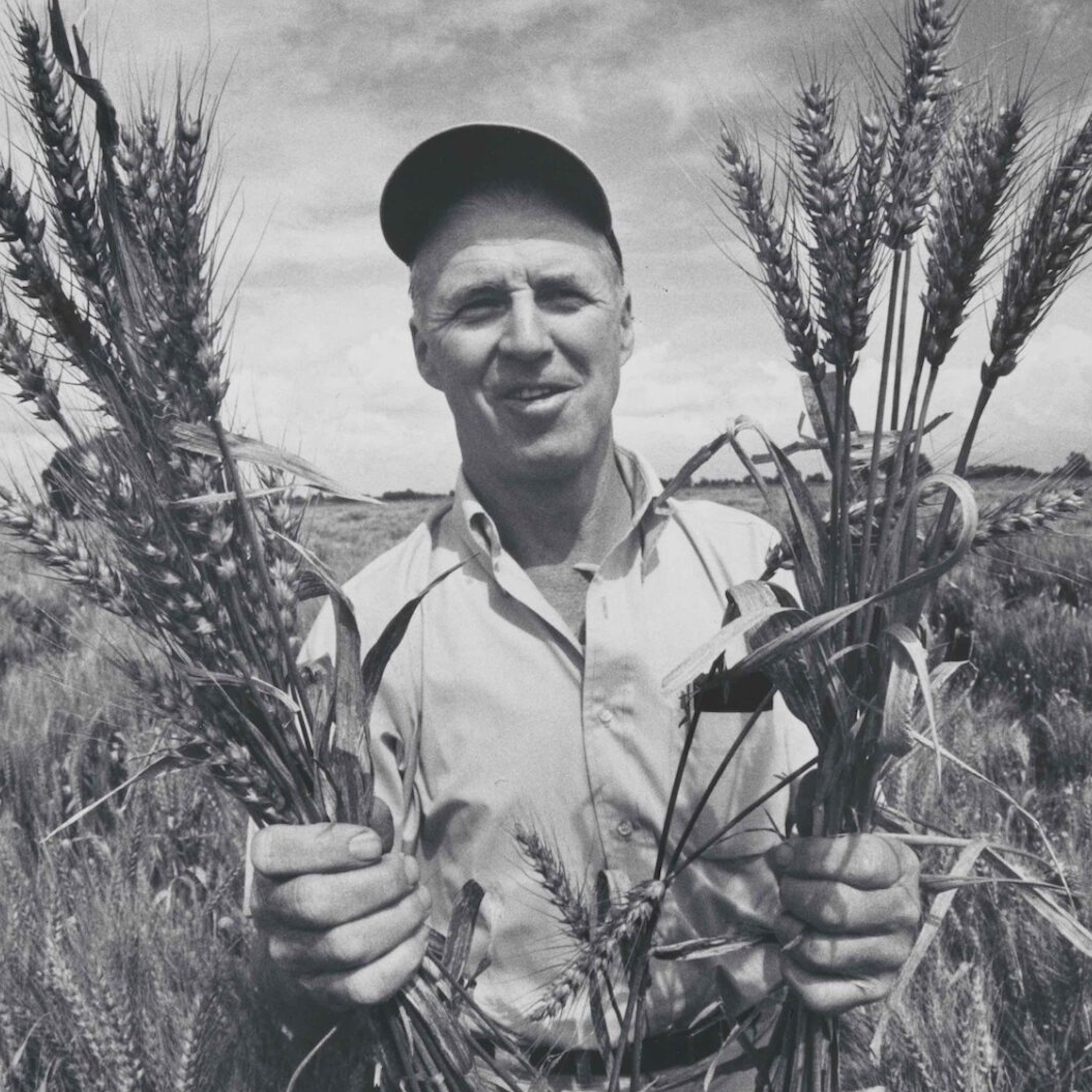 [History of Agriculture] Norman Borlaug and the Green Revolution
