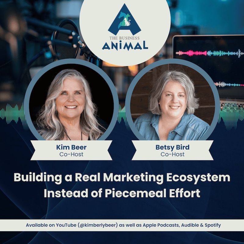 Artwork for podcast The Business Animal