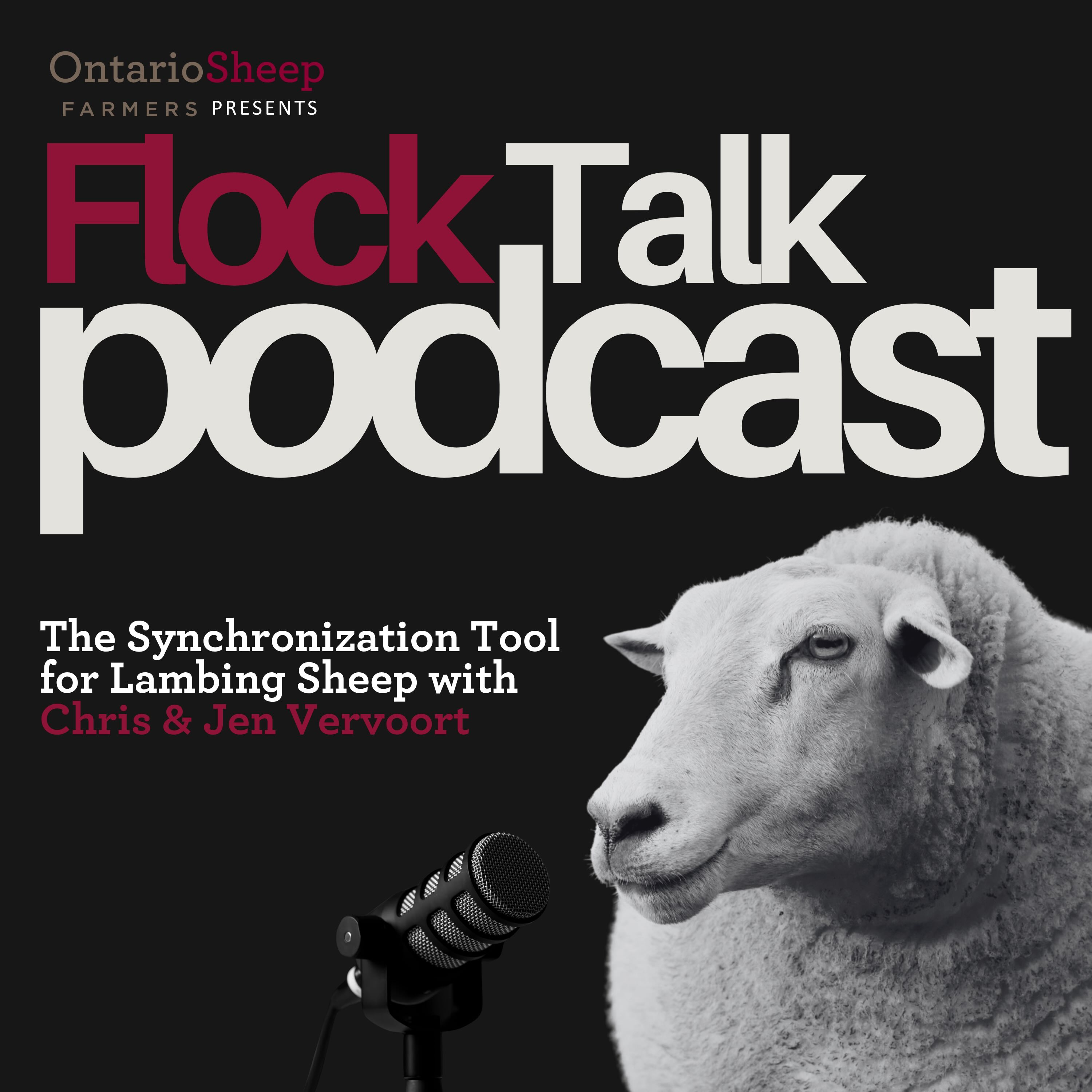 The Synchronization Tool for Lambing Sheep with Chris & Jen Vervoort