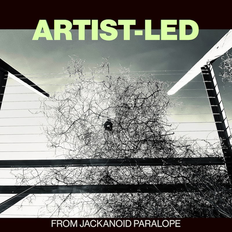 Artwork for podcast Artist-Led