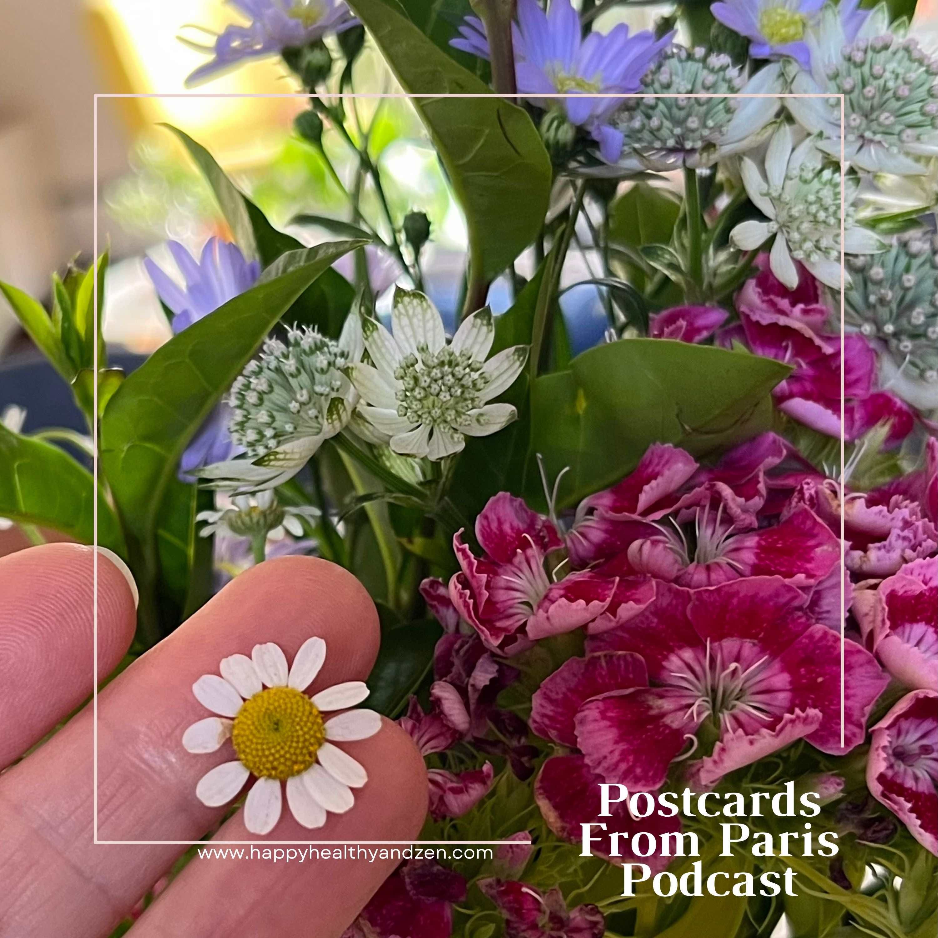 Spring Into Presence: Harvesting Clarity - One white flower