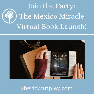 #27 Join the Fun Party of The Mexico Miracle Book Launch episode artwork