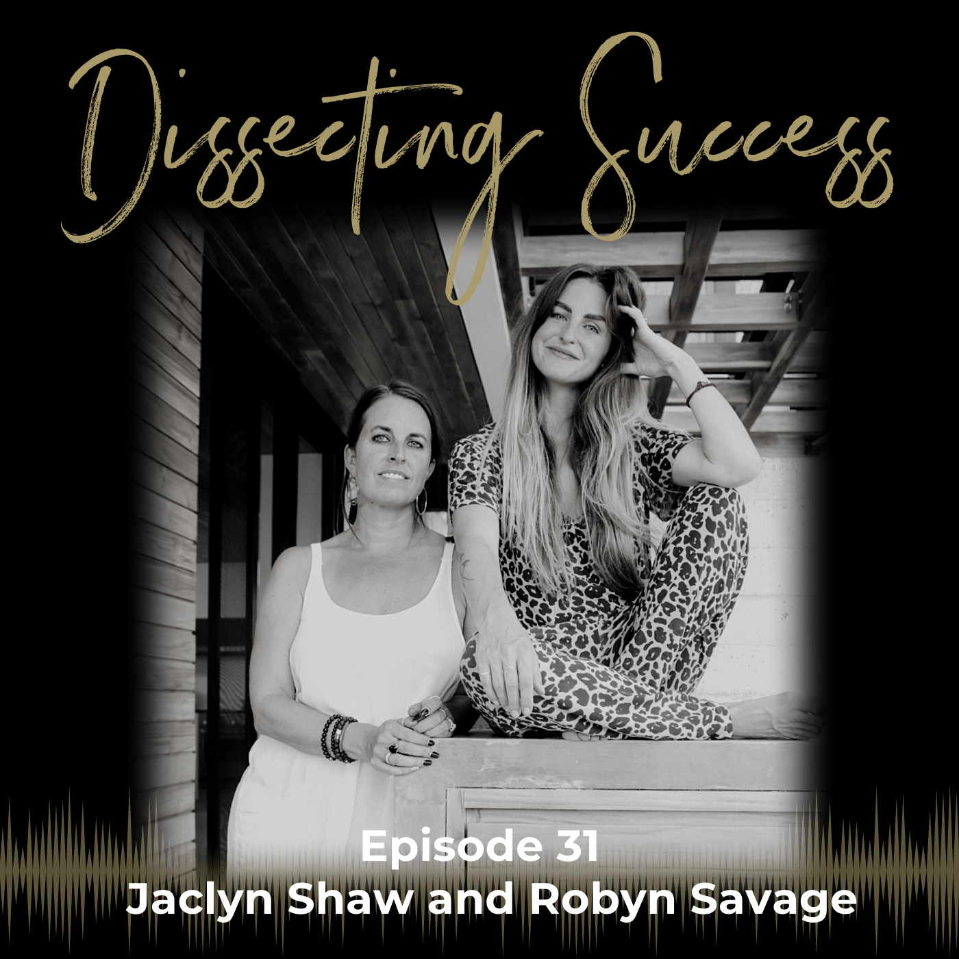 Artwork for podcast Dissecting Success
