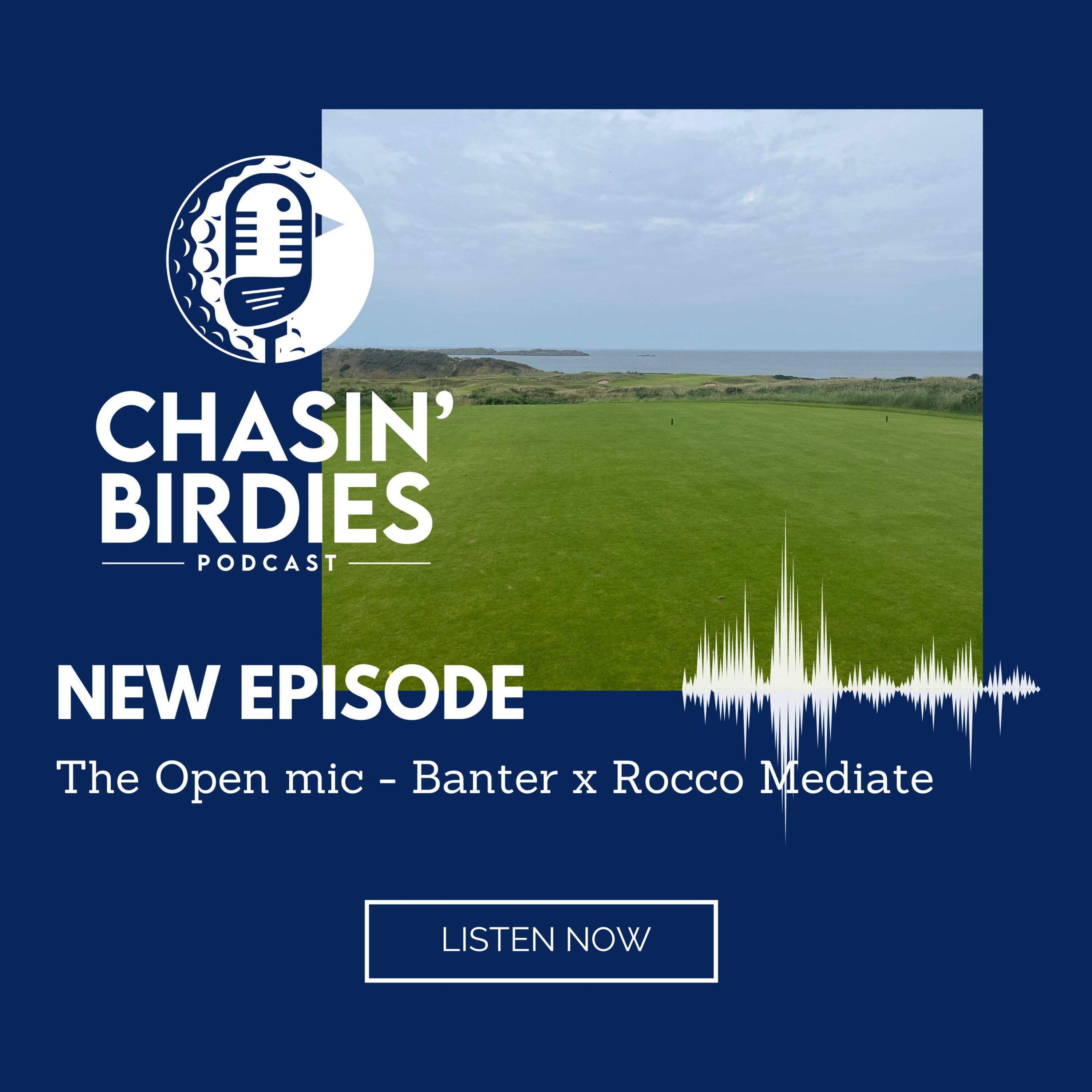 Chasin\' Birdies