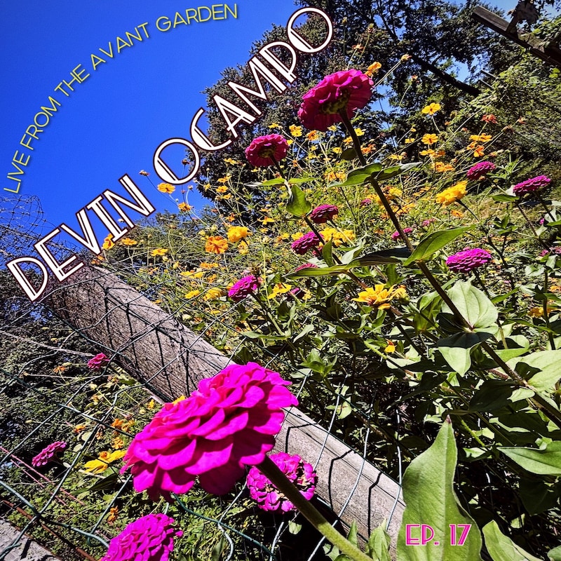 Artwork for podcast Live from the Avant Garden