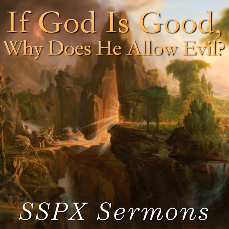 Artwork for podcast SSPX Sermons