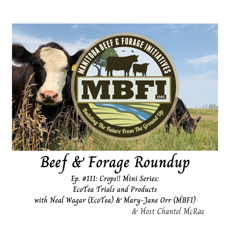 Artwork for podcast Beef and Forage Roundup