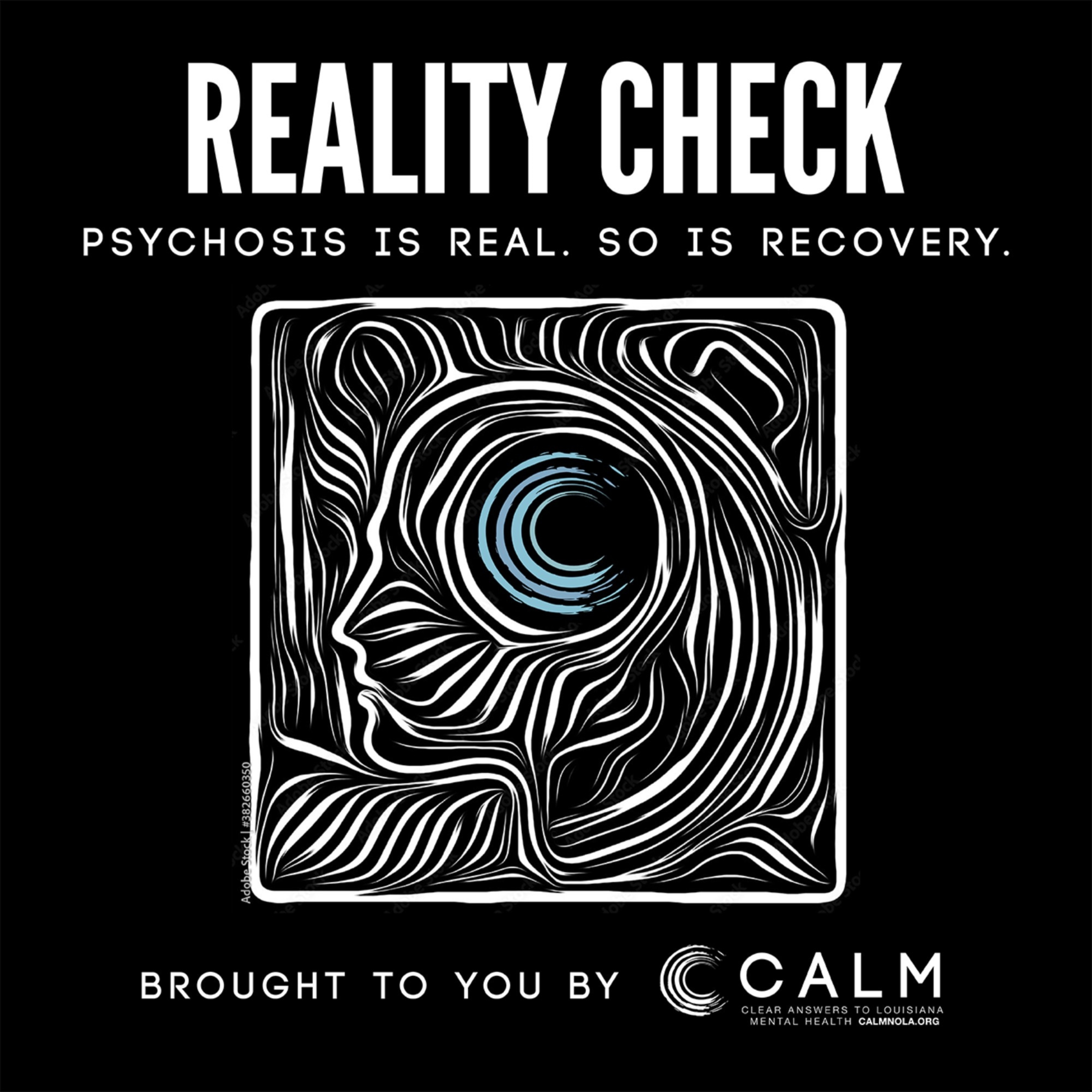 Reality Check. Psychosis is Real, so is Recovery.