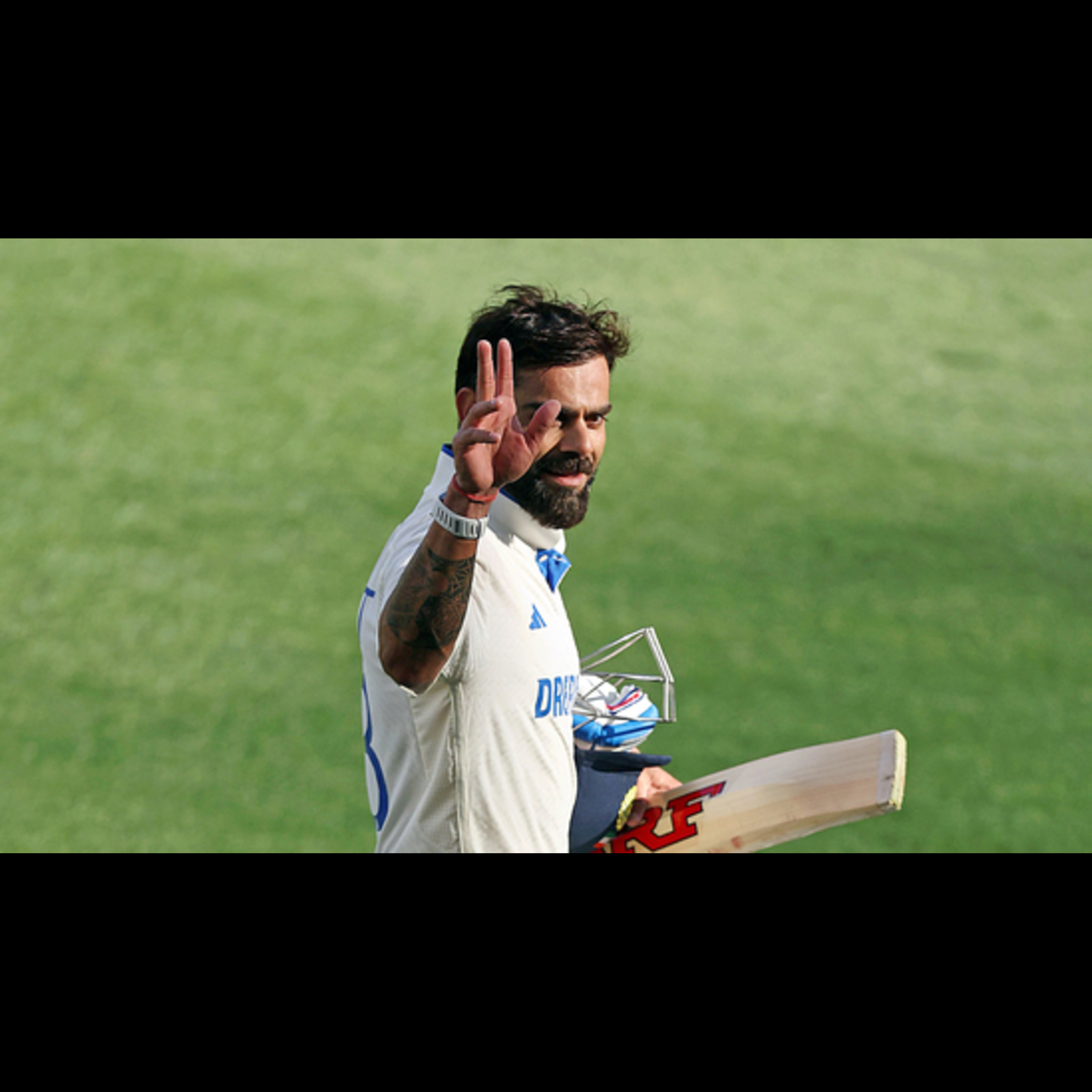The Last Wicket