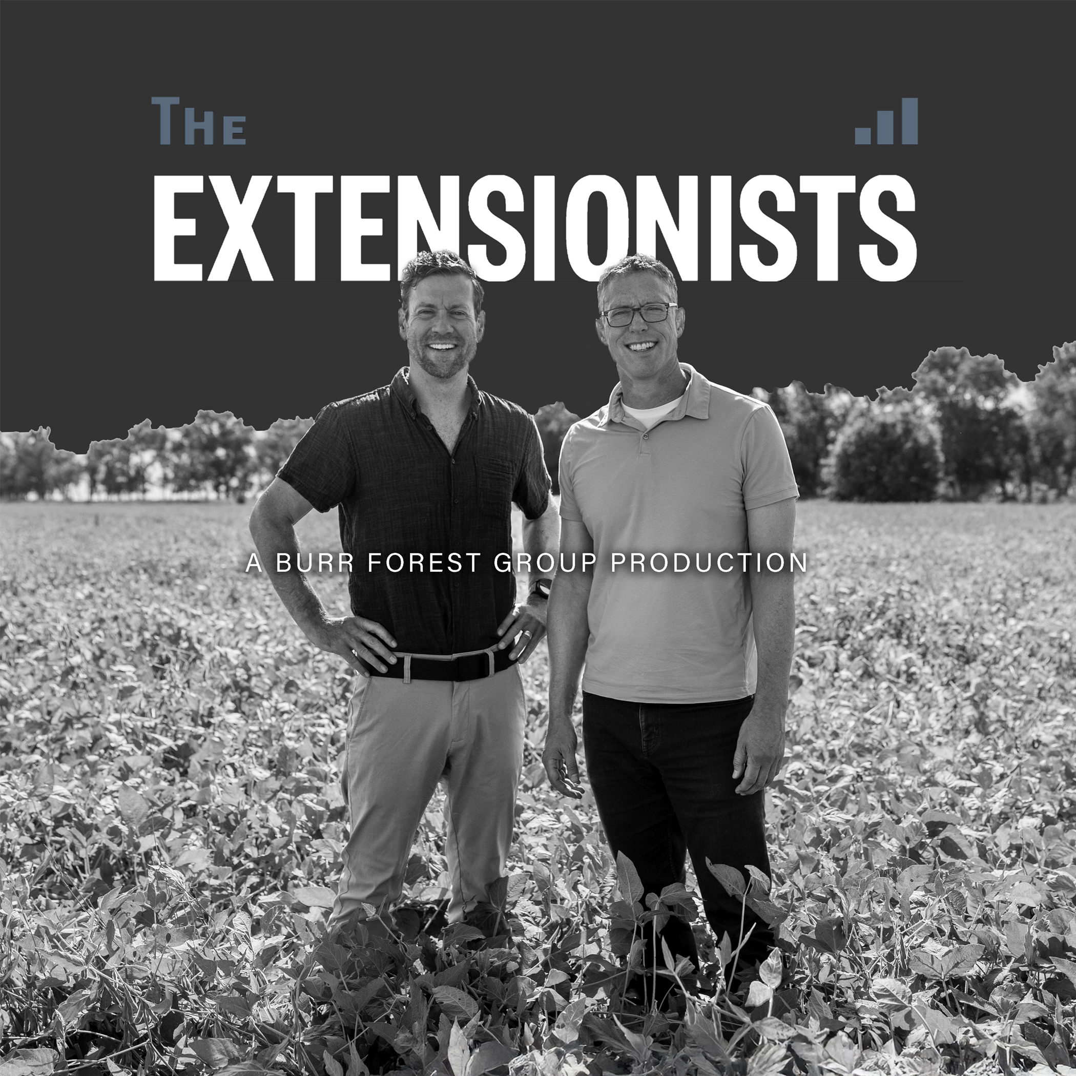 The Extensionists