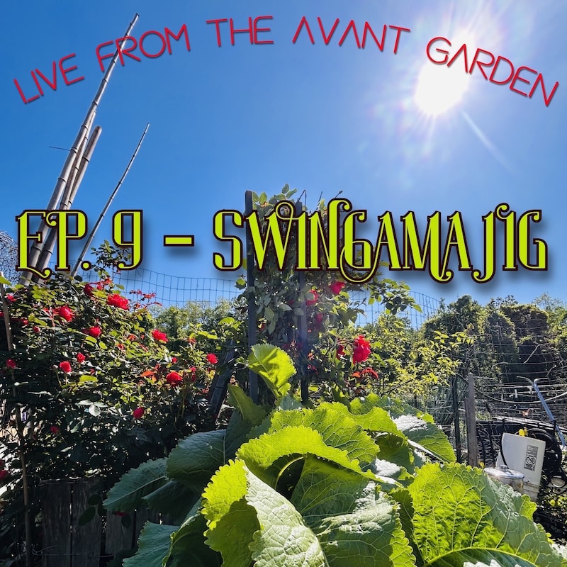 Artwork for podcast Live from the Avant Garden
