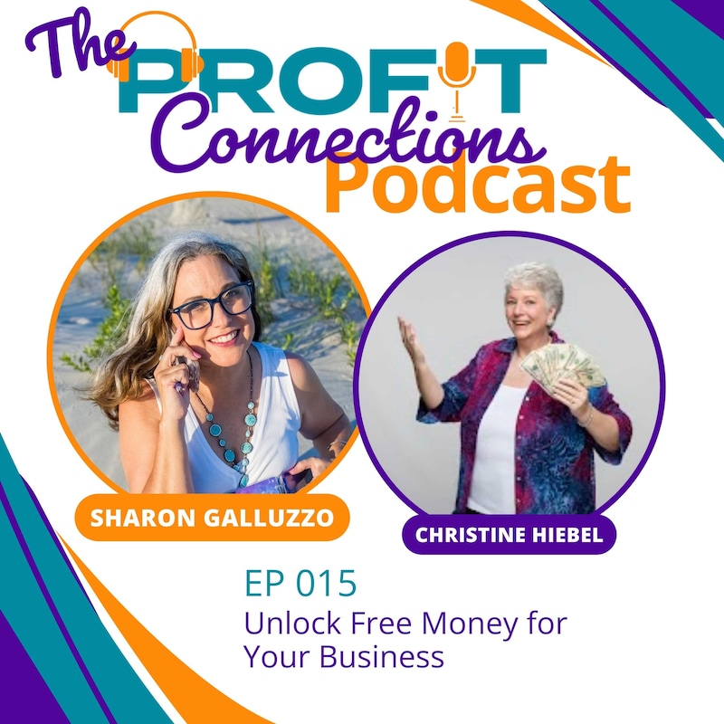 Artwork for podcast The Profit Connections Podcast
