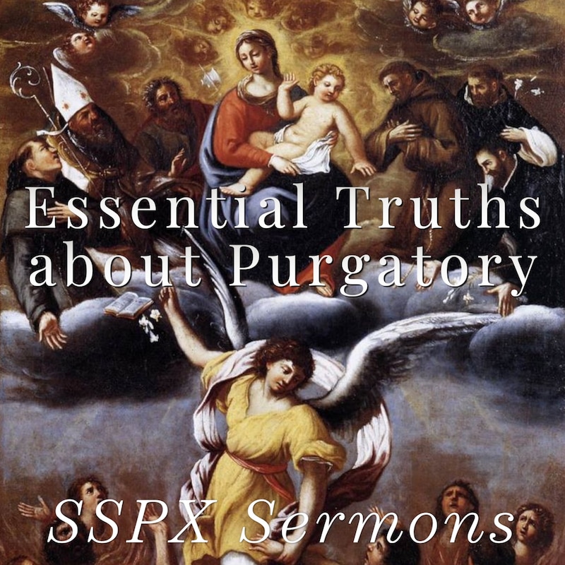 Artwork for podcast SSPX Sermons