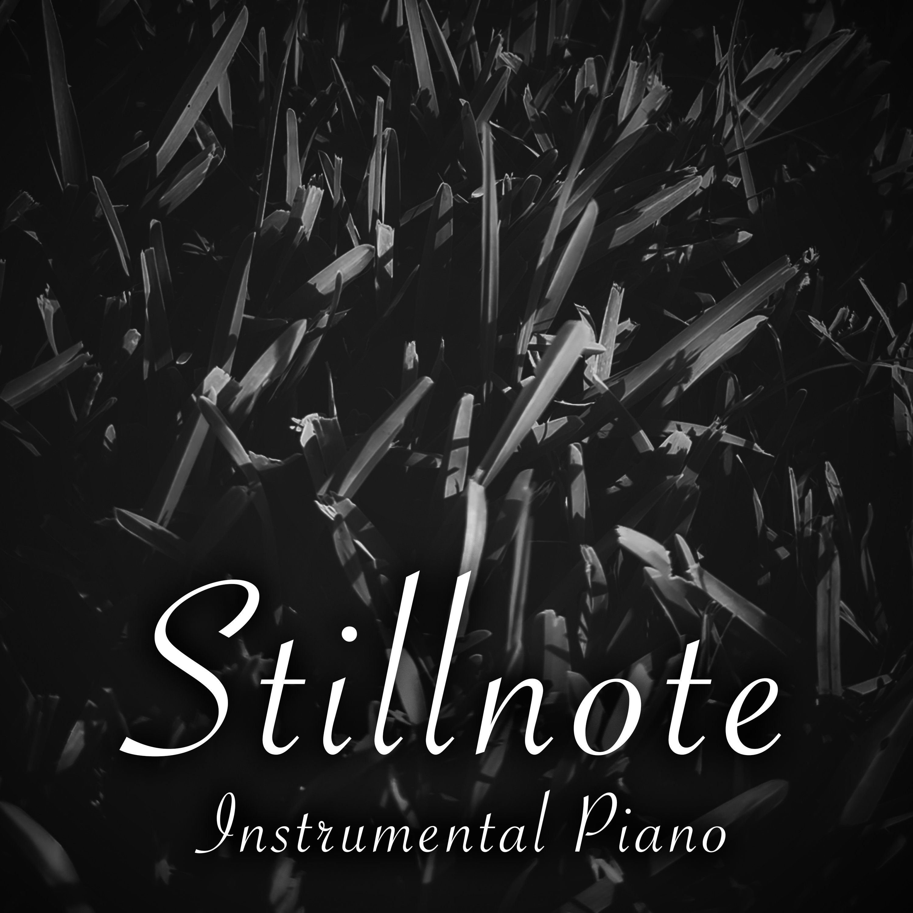 Piano for ADHD with Summer Crickets - 4 Hours - "Under the Covers" episode artwork