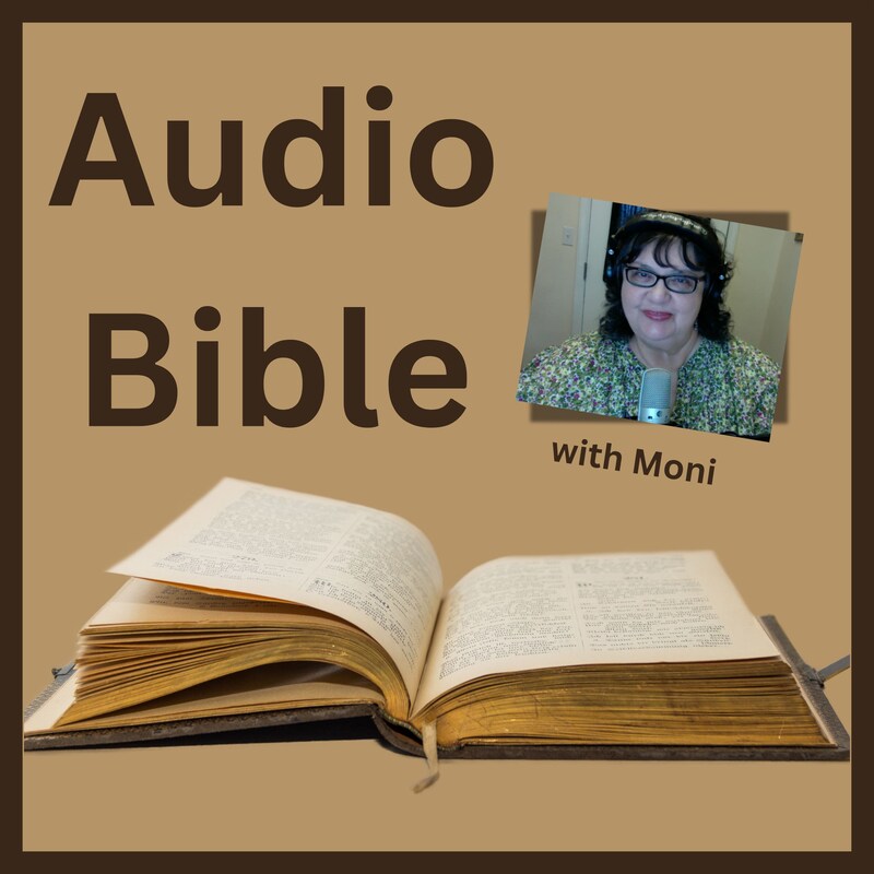Artwork for podcast Audio Bible with Moni