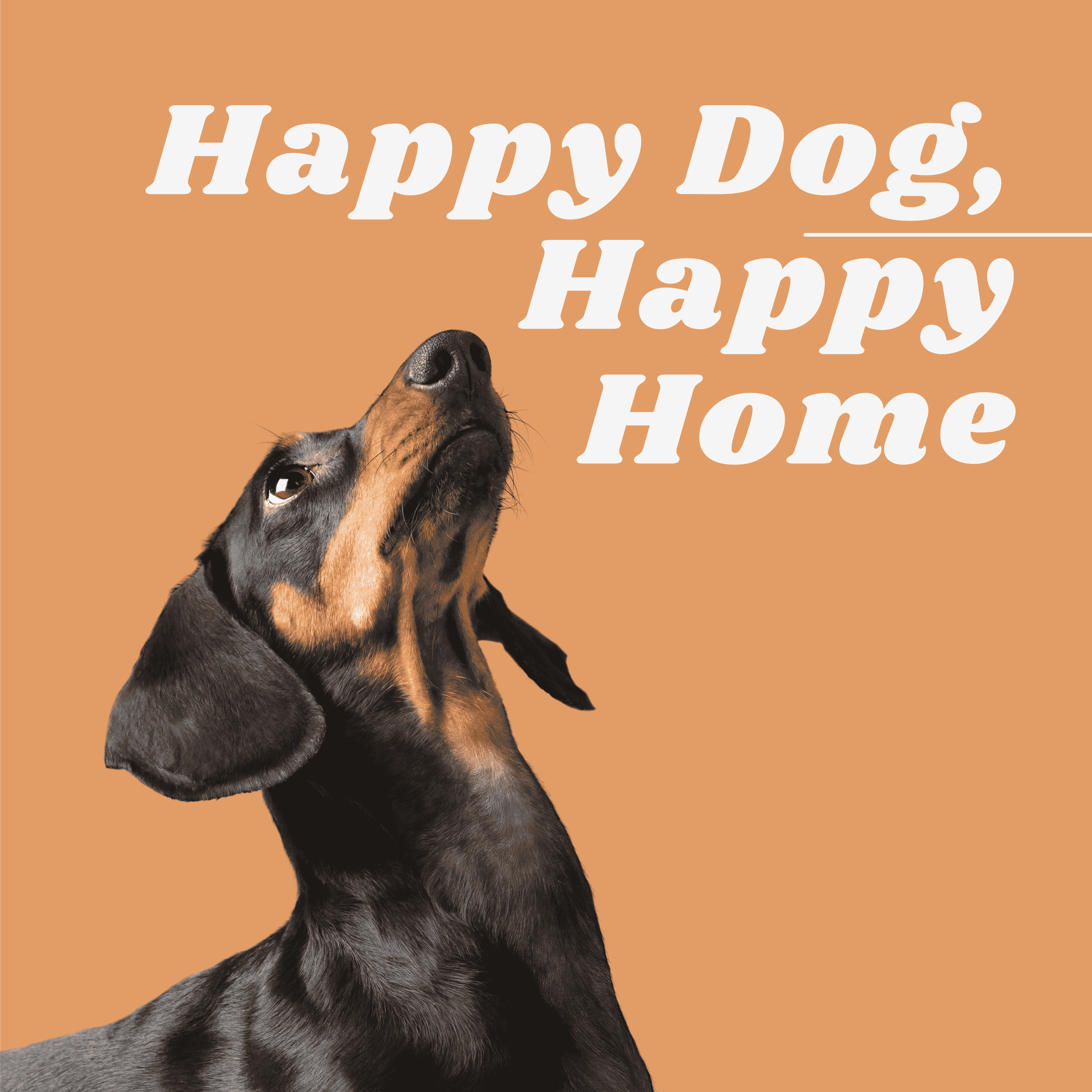 Artwork for Happy Dog, Happy Home