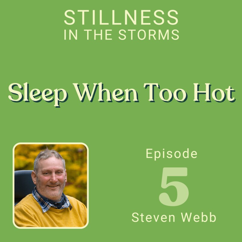 Artwork for podcast Stillness in the Storms