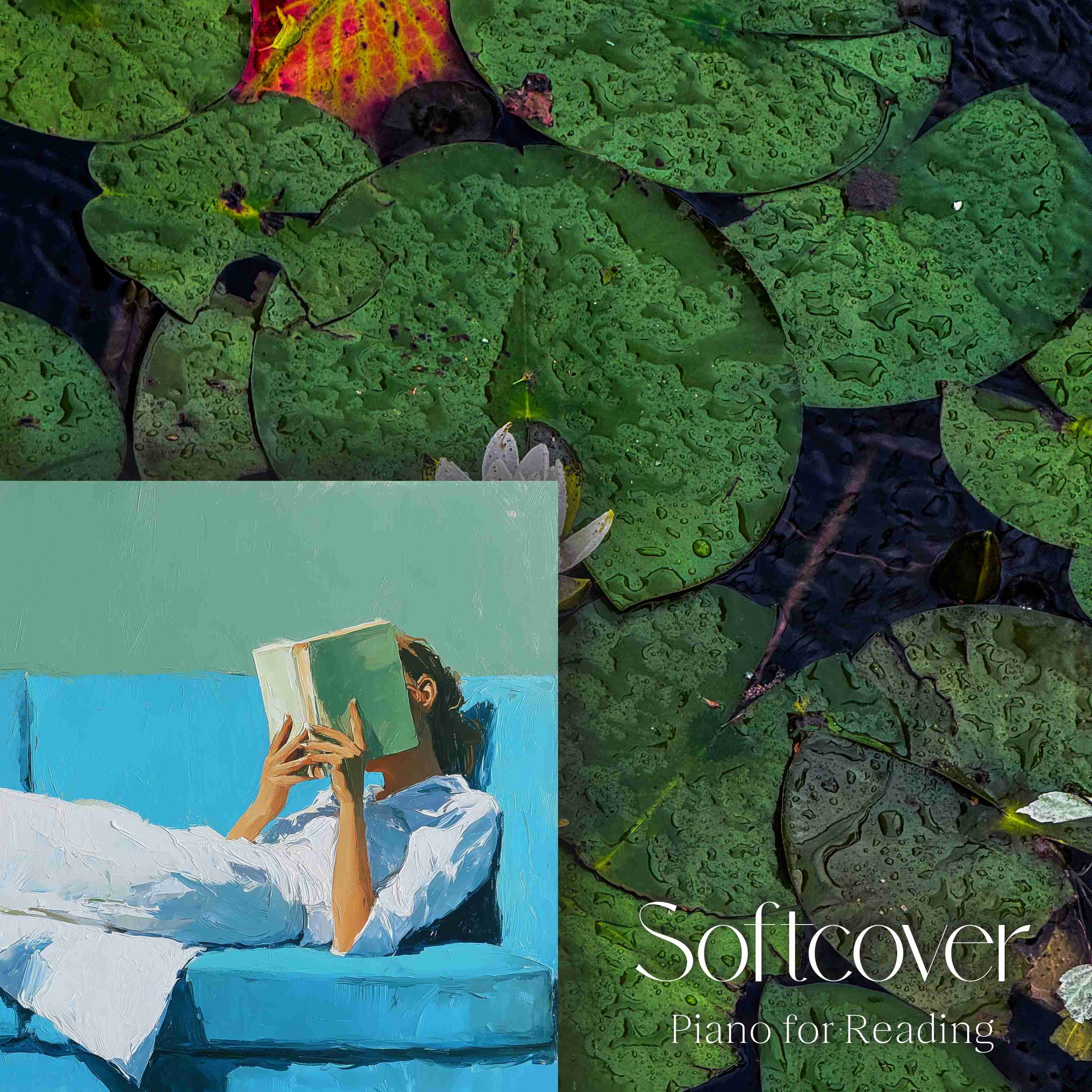 Piano Music for Reading with Gray Treefrogs - 2 Hours - "For Nights on End" episode artwork